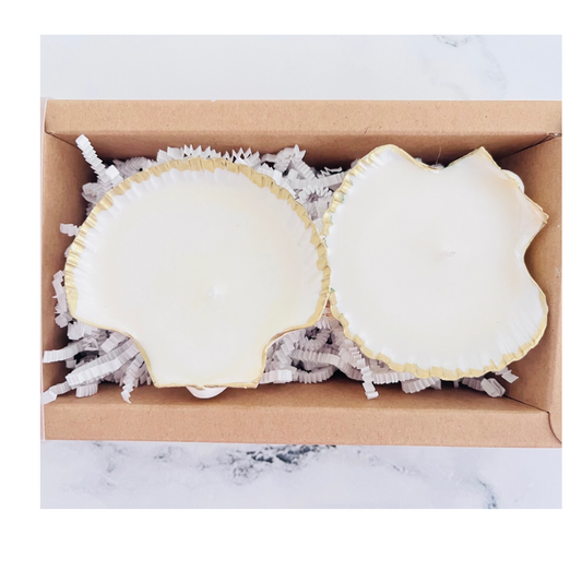 Scallop Shell Tea Light Candle Set